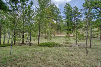 73 Sparn Way, Ward, CO 80481 - Photo 8