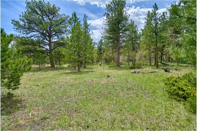 73 Sparn Way, Ward, CO 80481 - Photo 10