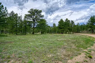 73 Sparn Way, Ward, CO 80481 - Photo 1