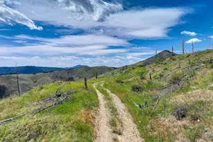 300 Shining Star Trail, Boulder, CO 80302 - Photo 10