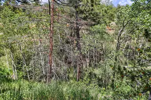 449 Hwy 7 Business, Allenspark, CO 80510 - Photo 26