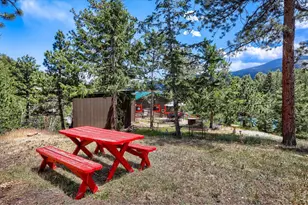449 Hwy 7 Business, Allenspark, CO 80510 - Photo 24