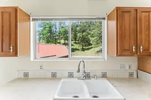 115 Paca View Ct, Livermore, CO 80536 - Photo 12