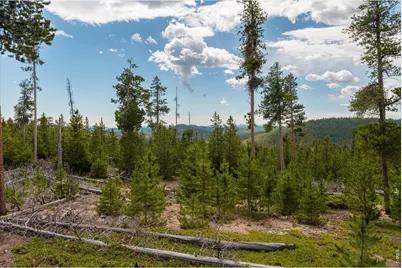 410 Pearl Creek Rd, Red Feather Lakes, CO 80545 - Photo 44