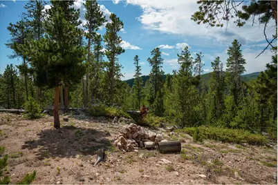 410 Pearl Creek Rd, Red Feather Lakes, CO 80545 - Photo 36