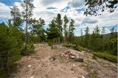 410 Pearl Creek Rd, Red Feather Lakes, CO 80545 - Photo 10