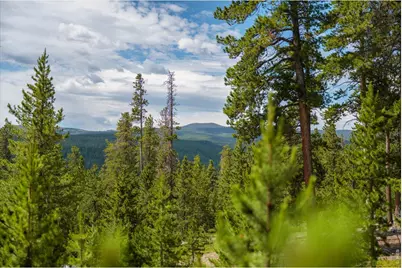 410 Pearl Creek Rd, Red Feather Lakes, CO 80545 - Photo 40