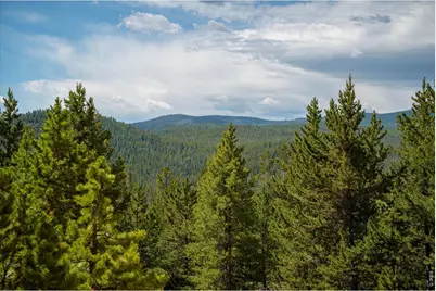 410 Pearl Creek Rd, Red Feather Lakes, CO 80545 - Photo 28