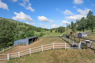 1154 Spring Valley Rd, Bellvue, CO 80512 - Photo 26