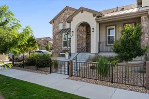6242 Vernazza Way, Windsor, CO 80550 - Photo 4