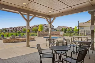 6242 Vernazza Way, Windsor, CO 80550 - Photo 42