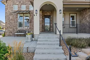 6242 Vernazza Way, Windsor, CO 80550 - Photo 4