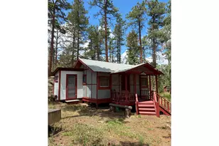 79 Alpine Ln, Red Feather Lakes, CO 80545 - Photo 4