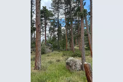 79 Alpine Ln, Red Feather Lakes, CO 80545 - Photo 20