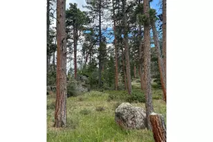 79 Alpine Ln, Red Feather Lakes, CO 80545 - Photo 20