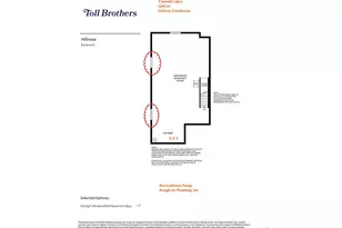 4183 Strolling St, Timnath, CO 80547 - Photo 4