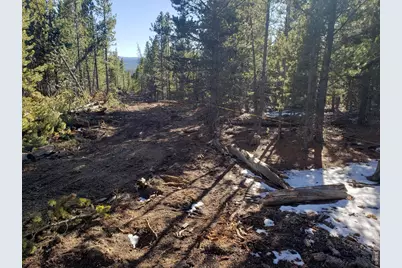 0 Forest Service 169 Lot #15 Rd, Red Feather Lakes, CO 80545 - Photo 2