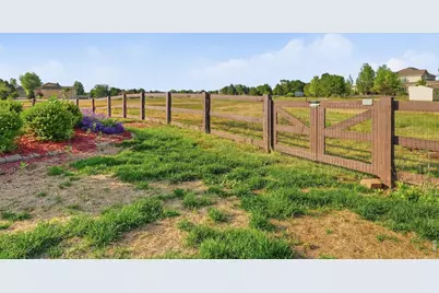 37156 Dickerson Run, Severance, CO 80550 - Photo 46