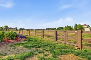 37156 Dickerson Run, Severance, CO 80550 - Photo 46