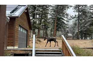 200 Rocky Knob Ln, Nederland, CO 80466 - Photo 38