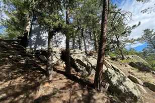 10763 Twin Spruce Rd, Golden, CO 80403 - Photo 8