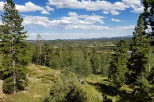 1346 Osage Trail, Red Feather Lakes, CO 80545 - Photo 10