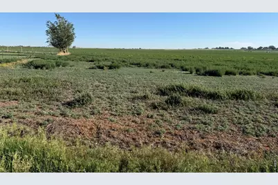 County Road 70, Eaton, CO 80615 - Photo 14