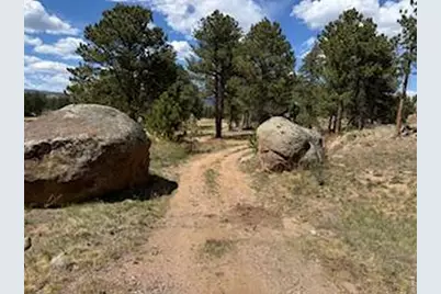2215 Fox Acres Dr E, Red Feather Lakes, CO 80545 - Photo 8