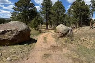 2215 Fox Acres Dr E, Red Feather Lakes, CO 80545 - Photo 8