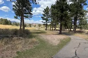 2215 Fox Acres Dr E, Red Feather Lakes, CO 80545 - Photo 14