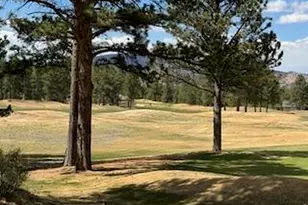 2215 Fox Acres Dr E, Red Feather Lakes, CO 80545 - Photo 10