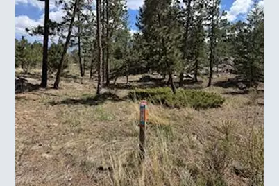 2215 Fox Acres Dr E, Red Feather Lakes, CO 80545 - Photo 18