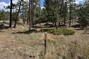 2215 Fox Acres Dr E, Red Feather Lakes, CO 80545 - Photo 18