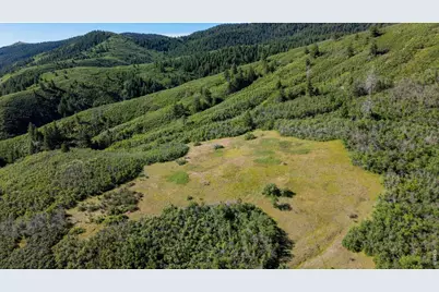 3255 N Rampart Range Rd, Littleton, CO 80125 - Photo 44