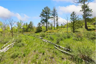 5449 N County Road 73C, Red Feather Lakes, CO 80545 - Photo 12