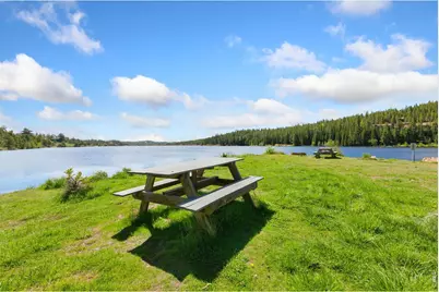 5449 N County Road 73C, Red Feather Lakes, CO 80545 - Photo 22