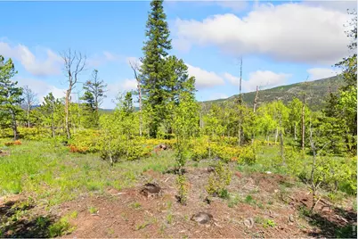 5449 N County Road 73C, Red Feather Lakes, CO 80545 - Photo 24
