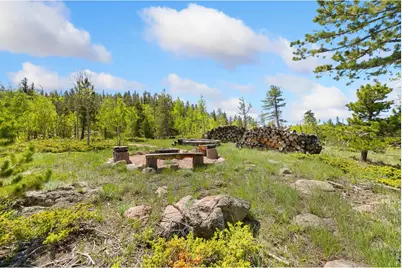 5449 N County Road 73C, Red Feather Lakes, CO 80545 - Photo 10
