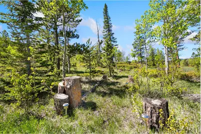 5449 N County Road 73C, Red Feather Lakes, CO 80545 - Photo 30
