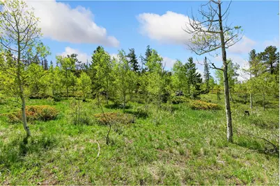5481 N County Road 73C, Red Feather Lakes, CO 80545 - Photo 22
