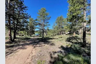 3086 Fox Acres Dr E, Red Feather Lakes, CO 80545 - Photo 26