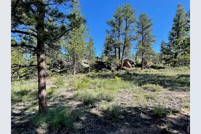 3086 Fox Acres Dr E, Red Feather Lakes, CO 80545 - Photo 24