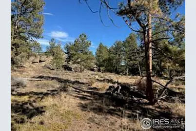 2921 Fox Acres Dr E, Red Feather Lakes, CO 80545 - Photo 22