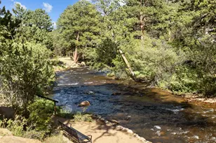 696 Moreau Ln, Estes Park, CO 80517 - Photo 32