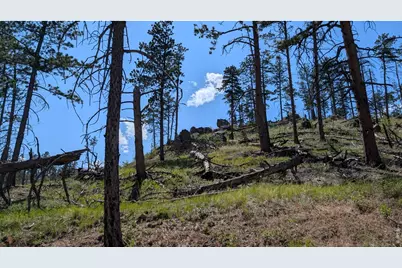 0 Old Camp Rd, Bellvue, CO 80512 - Photo 18