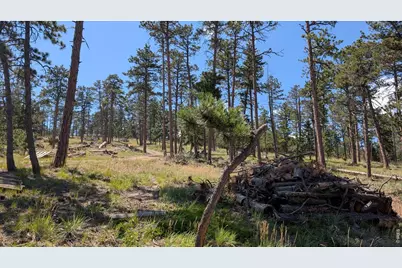 0 Old Camp Rd, Bellvue, CO 80512 - Photo 6