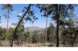 0 Old Camp Rd, Bellvue, CO 80512 - Photo 1