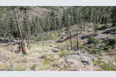 0 Old Camp Rd, Bellvue, CO 80512 - Photo 16
