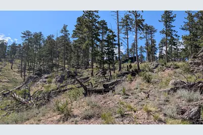 0 Old Camp Rd, Bellvue, CO 80512 - Photo 26