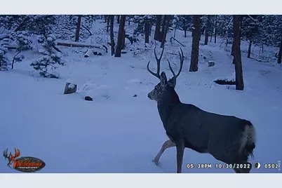 0 Old Camp Rd, Bellvue, CO 80512 - Photo 2